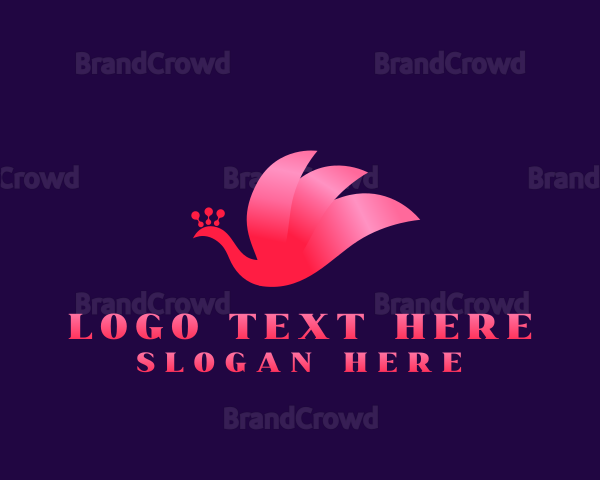 Gradient Peacock Bird Logo