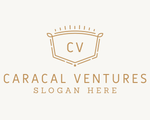 Professional Interior Venture logo design