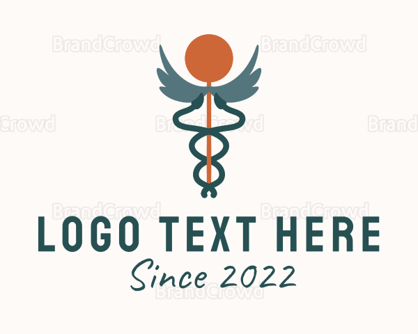 Hospital Medical Caduceus Logo