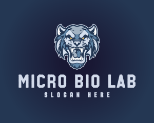 Sabertooth Sport Team Mascot logo design