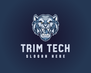 Sabertooth Sport Team Mascot logo design