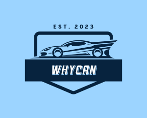 Racing Car Driver Logo