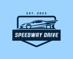 Driver - Racing Car Driver logo design