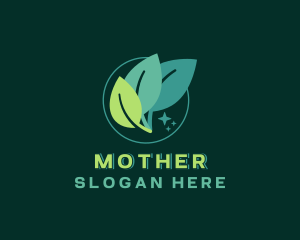 Natural Organic Leaf Logo