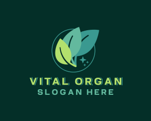 Natural Organic Leaf logo design