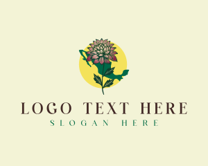 Botanical - Mexico Botanical Flower logo design