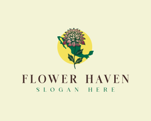 Mexico Botanical Flower logo design