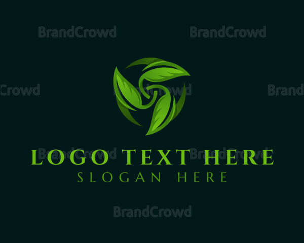 Natural Plant Leaf Logo