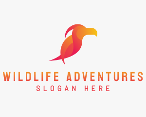 Toucan Wildlife Zoo  logo design