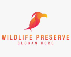 Toucan Wildlife Zoo  logo design