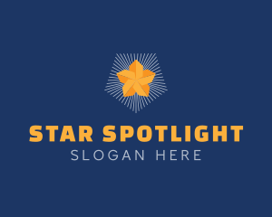 Generic Star Burst logo design