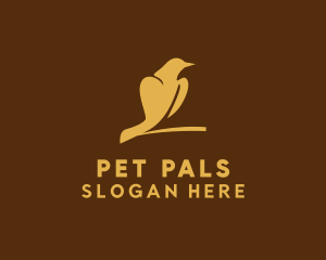 Pigeon Bird Pet logo design