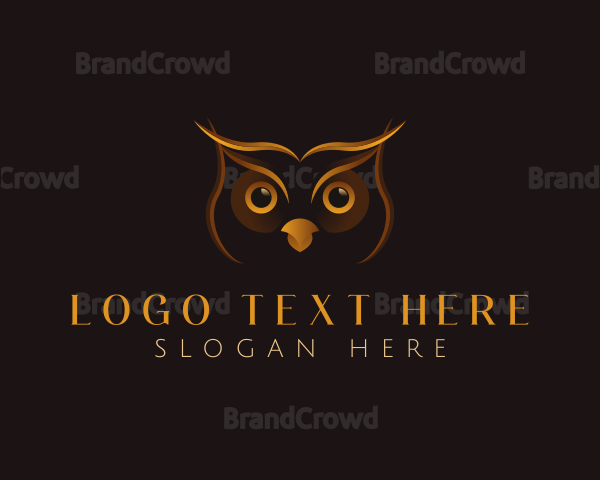 Owl Bird Eyes Logo