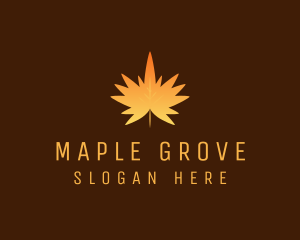 Orange Maple Leaf logo design