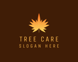 Arboriculture - Orange Maple Leaf logo design