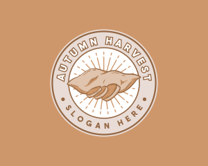 Sweet Potato Root Crop logo design