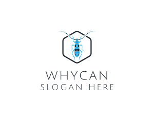 Blue Long Beetle logo design