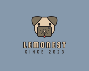 Modelling - Pug Camera Dog logo design