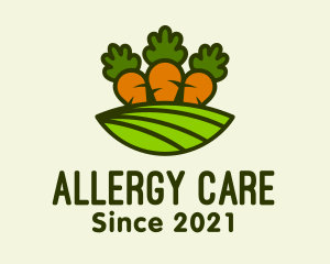 Carrot Vegetable Farm logo design