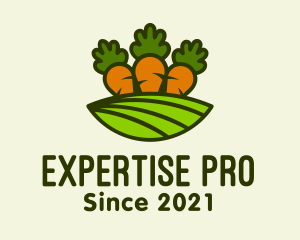 Carrot Vegetable Farm logo design