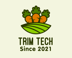 Carrot Vegetable Farm logo design