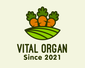 Carrot Vegetable Farm logo design