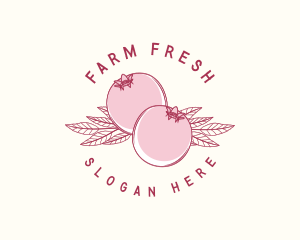 Pomegranate Fruit Harvest logo design