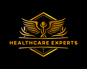 Medical Caduceus Healthcare logo design