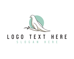 Pigeon - Wellness Wildlife Dove logo design