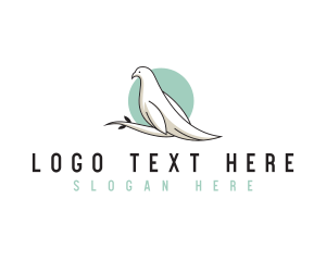 Feather - Wellness Wildlife Dove logo design