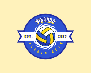 Volleyball - Volleyball Team Player logo design