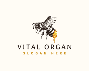 Organic Bee Honey logo design