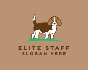 Beagle - Beagle Hound Pet logo design