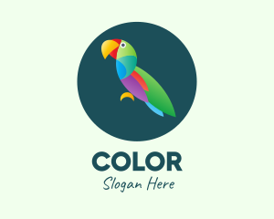 Colorful Wild Parrot logo design