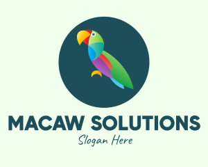 Colorful Wild Parrot logo design