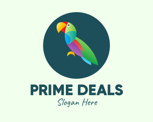 Amazon - Colorful Wild Parrot logo design