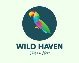 Colorful Wild Parrot logo design