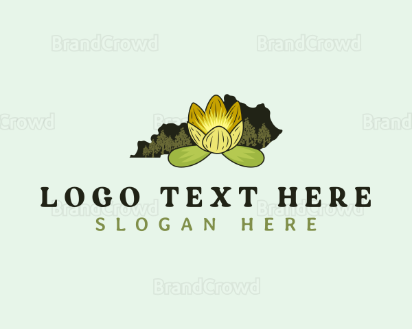 Tulip Tree Kentucky Logo