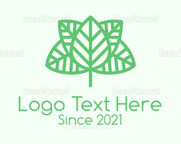 Green Leaf Outline Logo