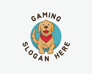 Bandana - Dog Animal Veterinary logo design