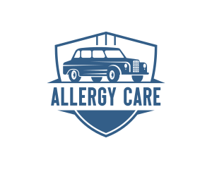 Car Care Sedan Shield logo design