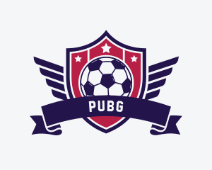 Training - Soccer League Shield logo design