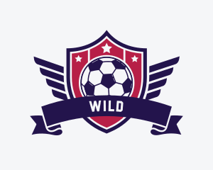 Ball - Soccer League Shield logo design