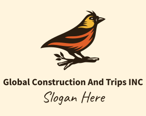 Tree Robin Bird Logo