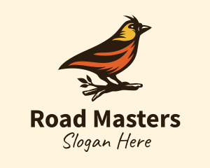 Tree Robin Bird Logo