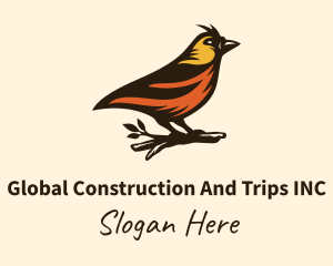 Amazon - Tree Robin Bird logo design