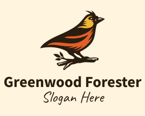 Tree Robin Bird logo design