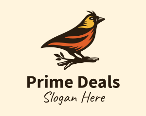 Amazon - Tree Robin Bird logo design