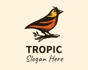 Tree Robin Bird logo design