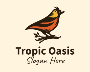 Tropic - Tree Robin Bird logo design